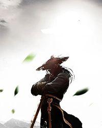 灵王掌心宠：至尊炼丹师